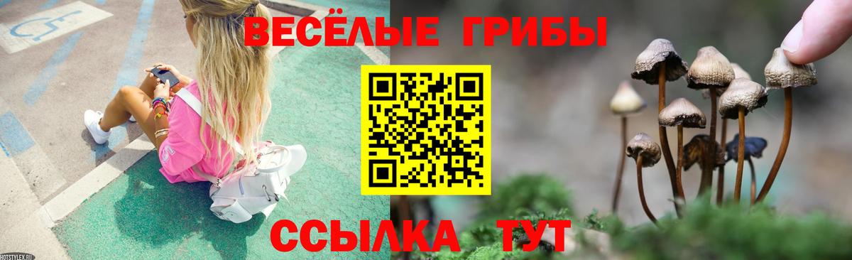 Новочеркасск  Галлюциногенные грибы Psilocybine cubensis  Вход с VPN 